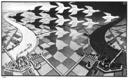 Escher birds positive vs negative space