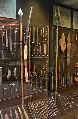 Picture of primitive tools